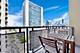 700 N Larrabee Unit 1007, Chicago, IL 60654