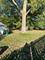49 N Shaddle, Mundelein, IL 60060
