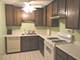 1053 W Ogden Unit 236, Naperville, IL 60563