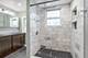 3450 N Hamlin, Chicago, IL 60618