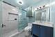 244 N Hamlin, Chicago, IL 60624