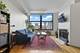525 N Ada Unit 43, Chicago, IL 60642