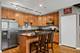 331 S Ridgeland Unit B, Oak Park, IL 60302