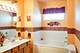 21056 W Aspen, Plainfield, IL 60544