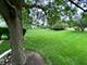 11900 Winterberry, Plainfield, IL 60585