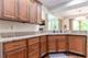 13204 S Lake Mary, Plainfield, IL 60585