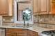18028 Esther, Orland Park, IL 60467