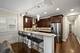 2941 N Damen Unit 2, Chicago, IL 60618
