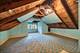2735 N Mango, Chicago, IL 60639