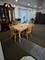 4325 W 99th, Oak Lawn, IL 60453