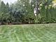 13855 Secretariat, Orland Park, IL 60467