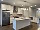 160 Roman, Hawthorn Woods, IL 60047