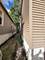 11612 S Yale, Chicago, IL 60628