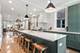 2964 N Wisner, Chicago, IL 60618