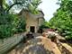 6320 Rowland, Huntley, IL 60142
