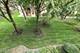 6430 W Belle Plaine Unit 307, Chicago, IL 60634