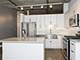 1000 W Adams Unit 507, Chicago, IL 60607