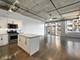 1000 W Adams Unit 507, Chicago, IL 60607