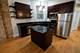 2023 N California Unit 2B, Chicago, IL 60647