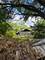 15228 Dante, Dolton, IL 60419