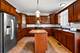 524 Regent, University Park, IL 60484
