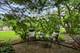 222 Lockerbie, Wilmette, IL 60091