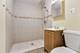 1141 S St Louis, Chicago, IL 60624