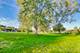 23490 N Spring, Barrington, IL 60010