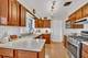 1500 Davis, Park Ridge, IL 60068