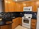 10115 Old Orchard Unit 302, Skokie, IL 60076