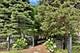 1711 W Henderson Unit 1, Chicago, IL 60657