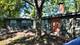 335 Oakwood, Park Forest, IL 60466