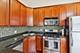 2801 N Seminary Unit 4S, Chicago, IL 60657