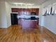 41 E 8th Unit 1404, Chicago, IL 60605