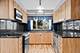 2256 W Birchwood, Chicago, IL 60645