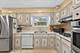 8607 Lawndale, Skokie, IL 60076