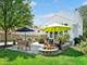 213 Walker, Clarendon Hills, IL 60514