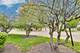 22 S Stonington, Palatine, IL 60074