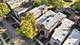 3037 W Lexington, Chicago, IL 60612
