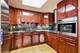 950 N Michigan Unit 4704, Chicago, IL 60611