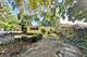924 Lyford, Wheaton, IL 60189