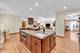 301 S Prospect, Park Ridge, IL 60068