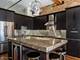 300 W Grand Unit 208, Chicago, IL 60654