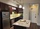 3170 N Sheridan Unit 1124, Chicago, IL 60657