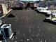 1342 S Fairfield, Chicago, IL 60608