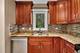 15875 S 115th, Orland Park, IL 60467