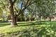 109 Raffel, Woodstock, IL 60098