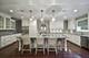 462 Pennsylvania Unit 1S, Glen Ellyn, IL 60137