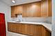 462 Pennsylvania Unit 1S, Glen Ellyn, IL 60137