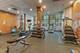1540 N Lasalle Unit 301, Chicago, IL 60610